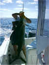 ddbillfish4.jpg (66373 bytes)