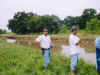 04webgator013.jpg (81723 bytes)